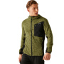 preview REGATTA Alven zelená pánská funkční outdoor mikina