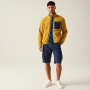 preview REGATTA Frankie F/Z žlutá pánská outdoor pohodlná příjemná fleece mikina